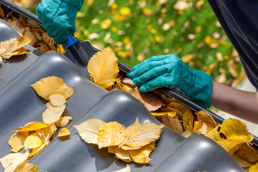 A person cleaning leaves out of their gutter