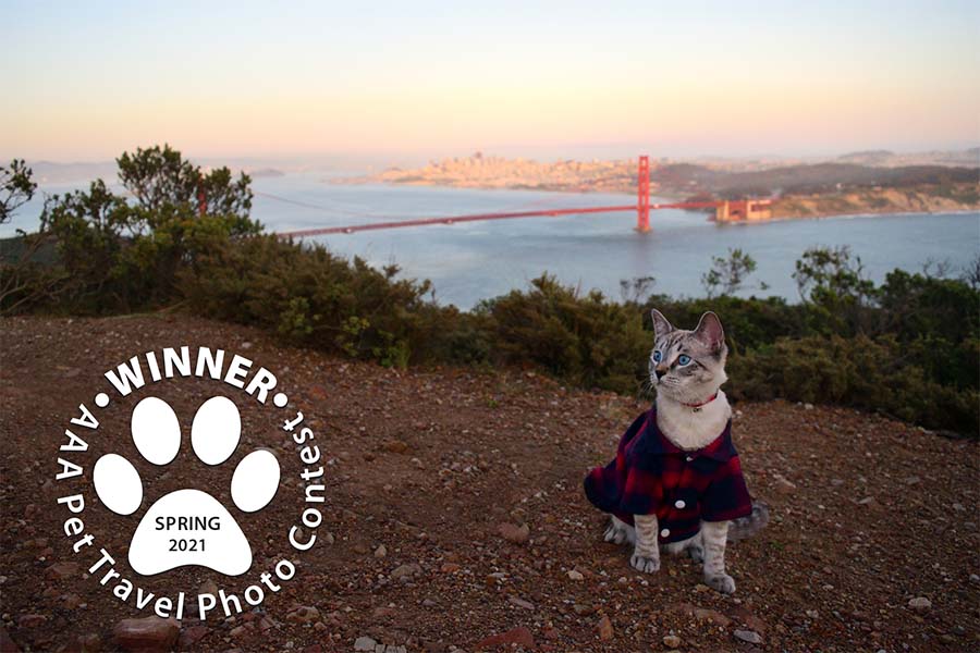 AAA Pet Travel Photo Contest WInner Spring 2021