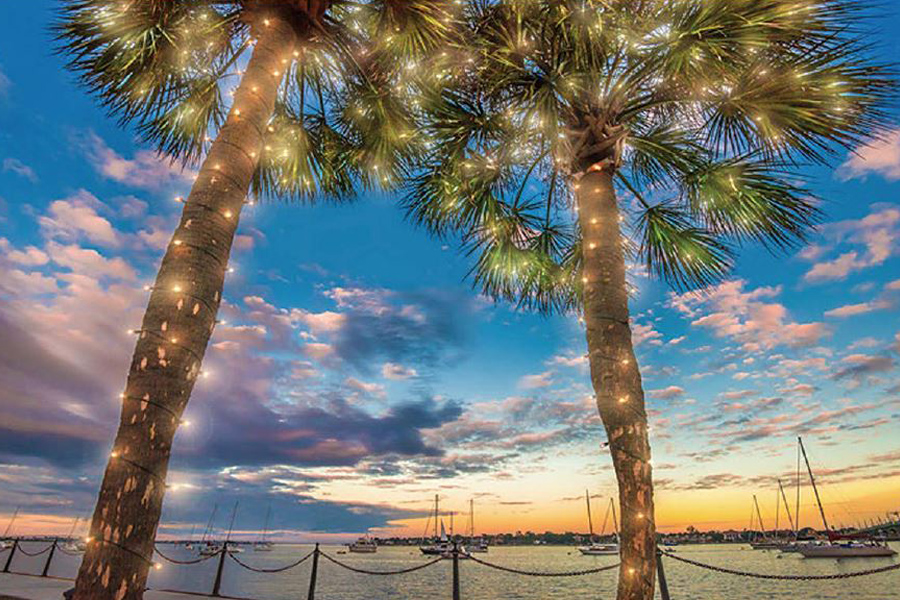 St Augustine florida palm trees with lights