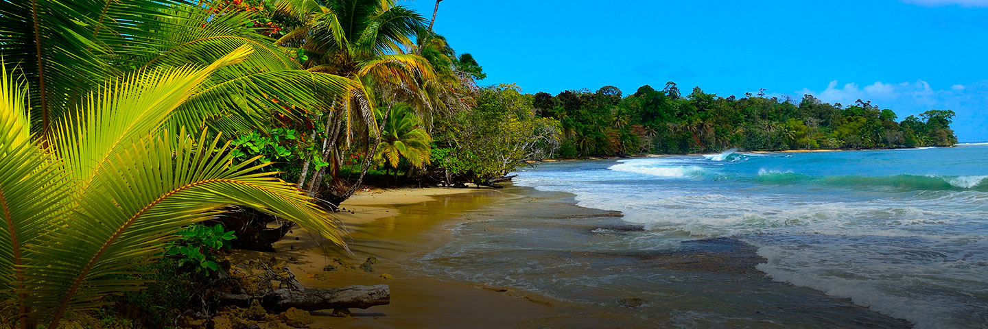 Tropical Costa Rica from AAA Travel
