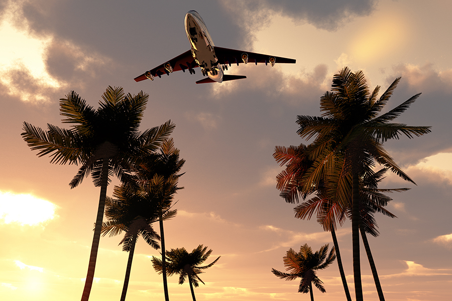 Airplane flying over palmtrees - Travel and Trip Insurance 