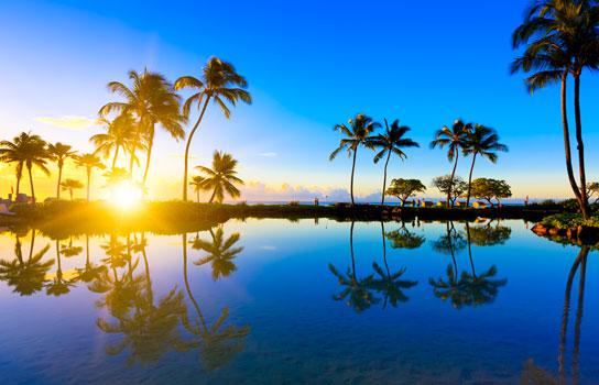 Hawaii sunset with palm trees and beautiful blue water