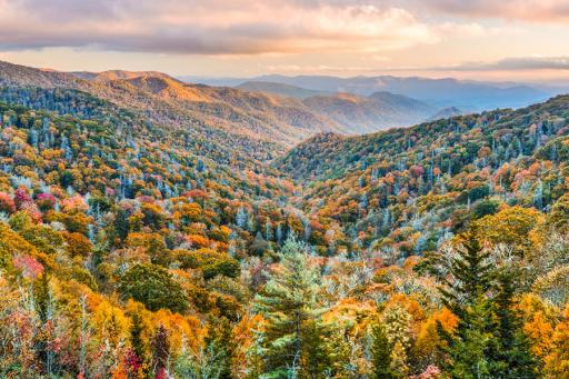 Smoky Mountains - Fall foliage