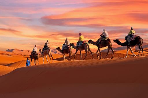 Morocco camel riders in the desert